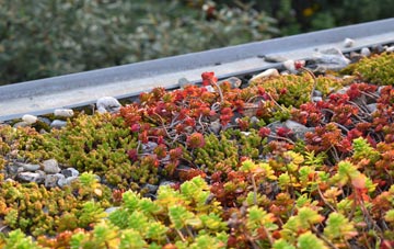 the cost of Ousden green roof installation