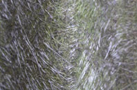 Ousden fibreglass roof work